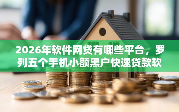 2026年软件网贷有哪些平台，罗列五个手机小额黑户快速贷款软件