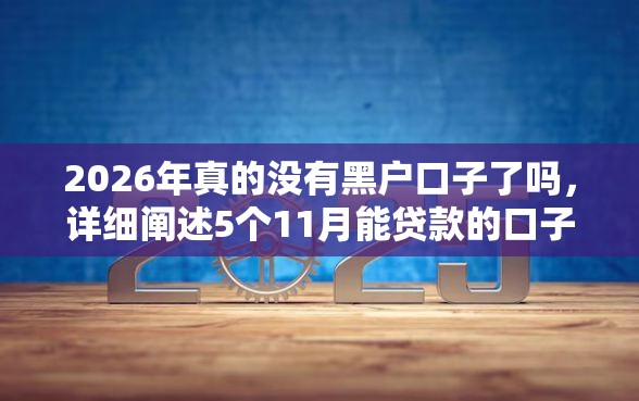 2026年真的没有黑户口子了吗，详细阐述5个11月能贷款的口子