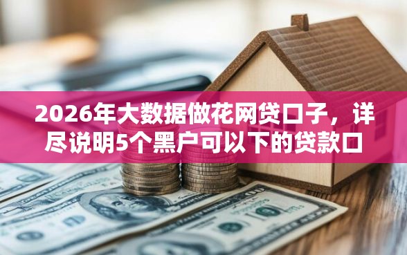 2026年大数据做花网贷口子，详尽说明5个黑户可以下的贷款口子