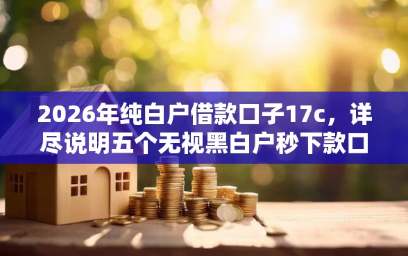 2026年纯白户借款口子17c，详尽说明五个无视黑白户秒下款口子软件