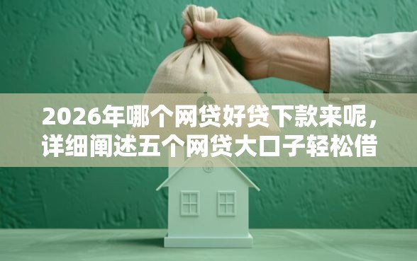 2026年哪个网贷好贷下款来呢，详细阐述五个网贷大口子轻松借平台