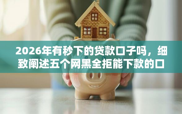 2026年有秒下的贷款口子吗，细致阐述五个网黑全拒能下款的口子
