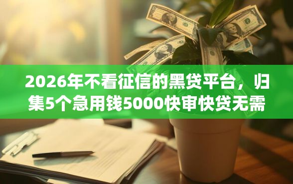 2026年不看征信的黑贷平台，归集5个急用钱5000快审快贷无需征信app