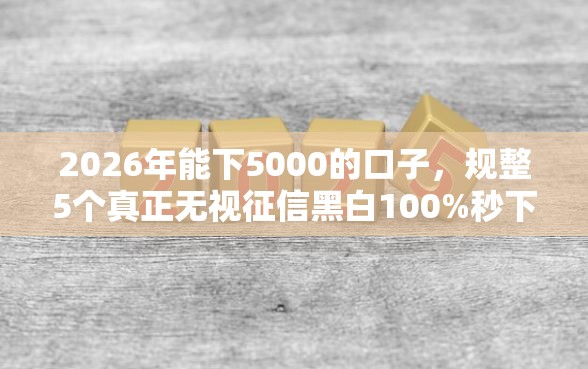 2026年能下5000的口子，规整5个真正无视征信黑白100%秒下网贷