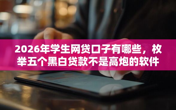 2026年学生网贷口子有哪些，枚举五个黑白贷款不是高炮的软件