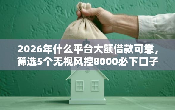 2026年什么平台大额借款可靠，筛选5个无视风控8000必下口子