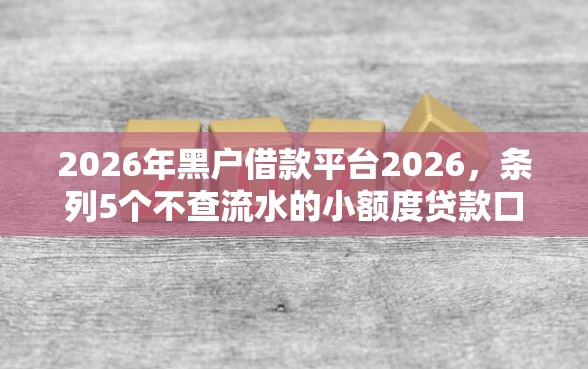 2026年黑户借款平台2026，条列5个不查流水的小额度贷款口子