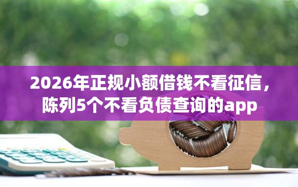 2026年正规小额借钱不看征信，陈列5个不看负债查询的app