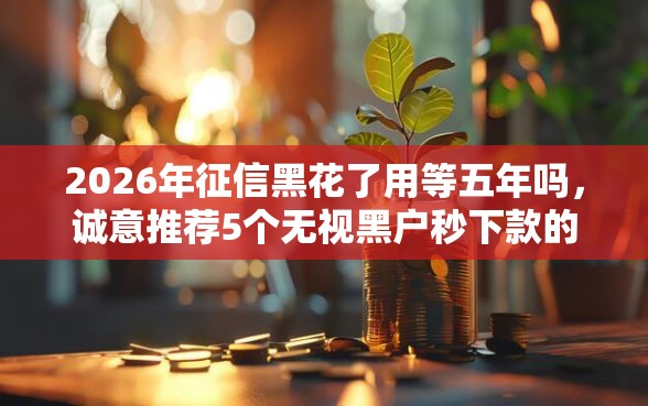 2026年征信黑花了用等五年吗，诚意推荐5个无视黑户秒下款的口子