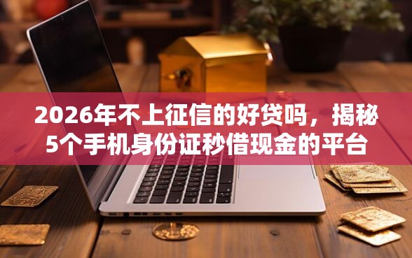 2026年不上征信的好贷吗，揭秘5个手机身份证秒借现金的平台