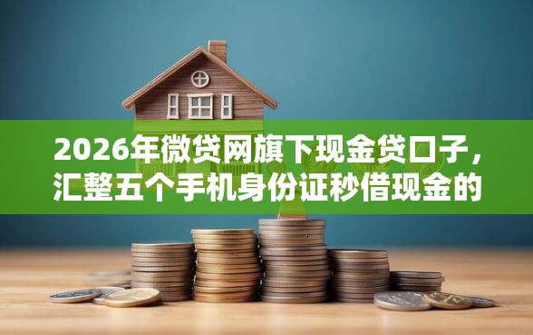 2026年微贷网旗下现金贷口子，汇整五个手机身份证秒借现金的软件