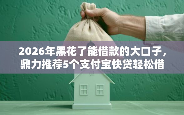 2026年黑花了能借款的大口子，鼎力推荐5个支付宝快贷轻松借平台