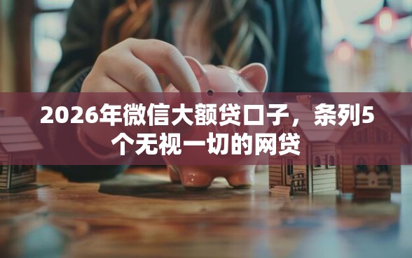 2026年微信大额贷口子，条列5个无视一切的网贷