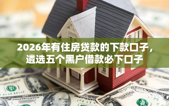 2026年有住房贷款的下款口子，遴选五个黑户借款必下口子