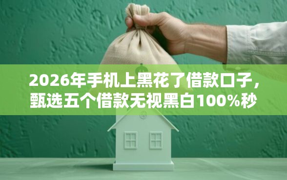 2026年手机上黑花了借款口子，甄选五个借款无视黑白100%秒过