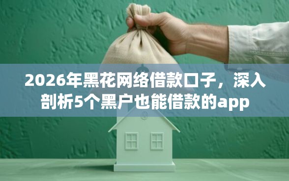 2026年黑花网络借款口子，深入剖析5个黑户也能借款的app