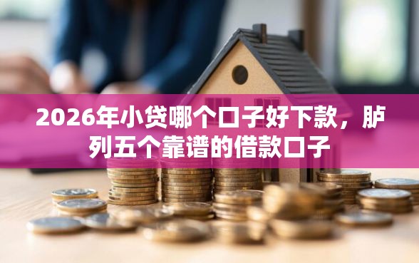 2026年小贷哪个口子好下款，胪列五个靠谱的借款口子