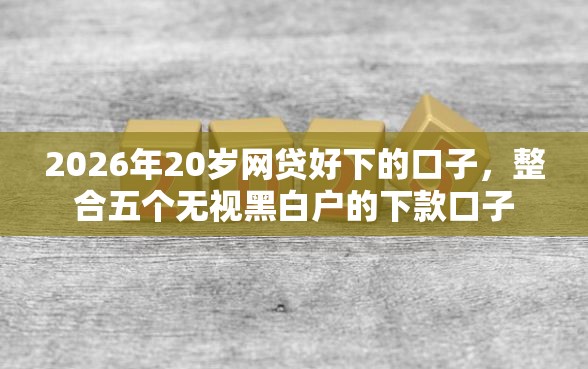 2026年20岁网贷好下的口子，整合五个无视黑白户的下款口子