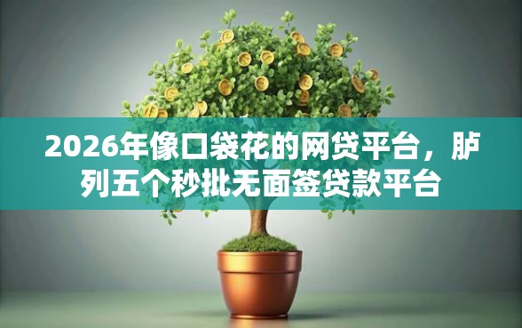 2026年像口袋花的网贷平台，胪列五个秒批无面签贷款平台
