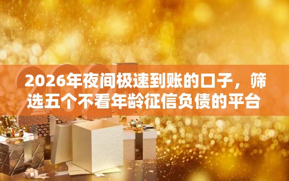 2026年夜间极速到账的口子，筛选五个不看年龄征信负债的平台