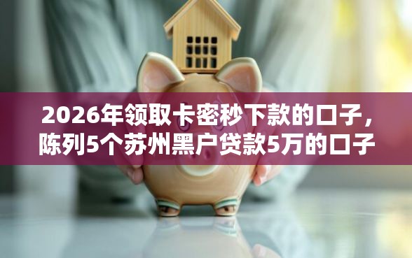 2026年领取卡密秒下款的口子，陈列5个苏州黑户贷款5万的口子