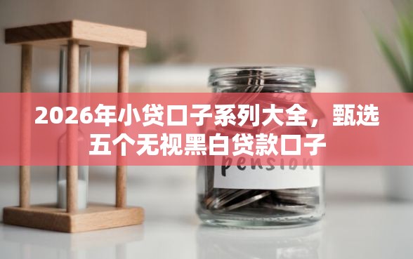 2026年小贷口子系列大全，甄选五个无视黑白贷款口子