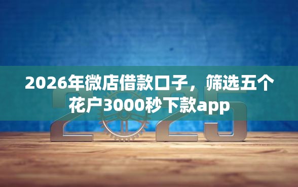 2026年微店借款口子，筛选五个花户3000秒下款app