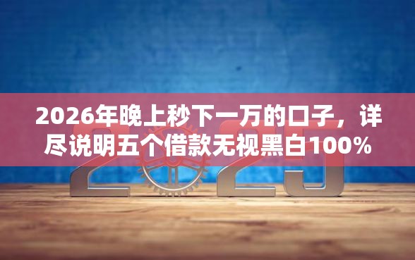 2026年晚上秒下一万的口子，详尽说明五个借款无视黑白100%秒过