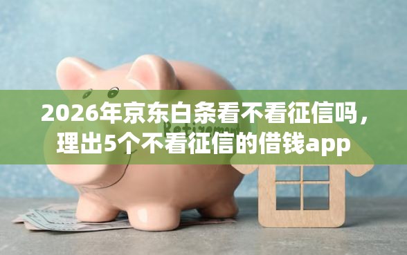 2026年京东白条看不看征信吗，理出5个不看征信的借钱app