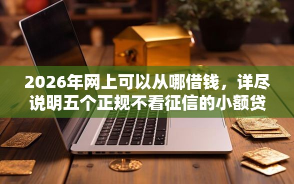 2026年网上可以从哪借钱，详尽说明五个正规不看征信的小额贷款口子
