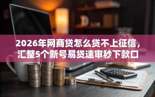 2026年网商贷怎么贷不上征信，汇整5个新号易贷速审秒下款口子