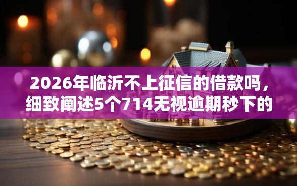 2026年临沂不上征信的借款吗，细致阐述5个714无视逾期秒下的口子
