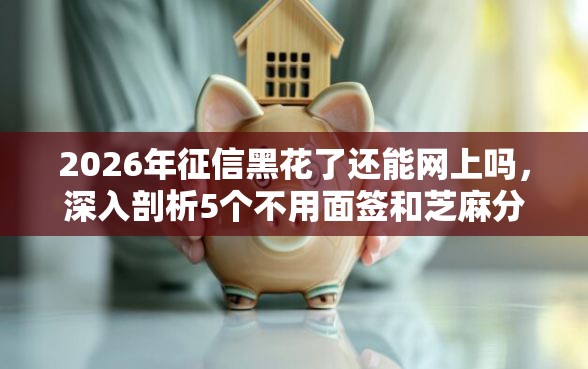 2026年征信黑花了还能网上吗，深入剖析5个不用面签和芝麻分的贷款平台