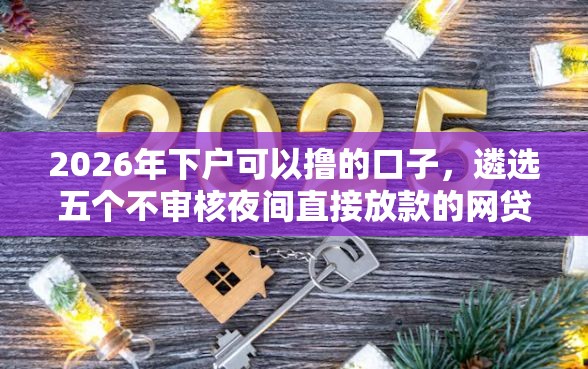 2026年下户可以撸的口子，遴选五个不审核夜间直接放款的网贷软件