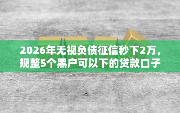 2026年无视负债征信秒下2万，规整5个黑户可以下的贷款口子
