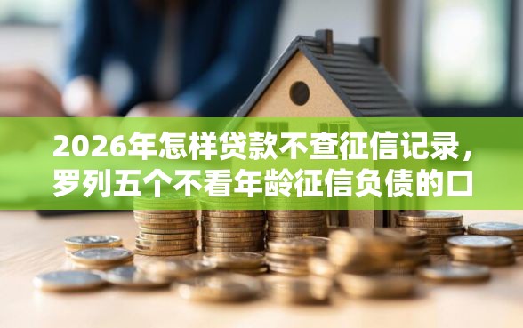 2026年怎样贷款不查征信记录，罗列五个不看年龄征信负债的口子