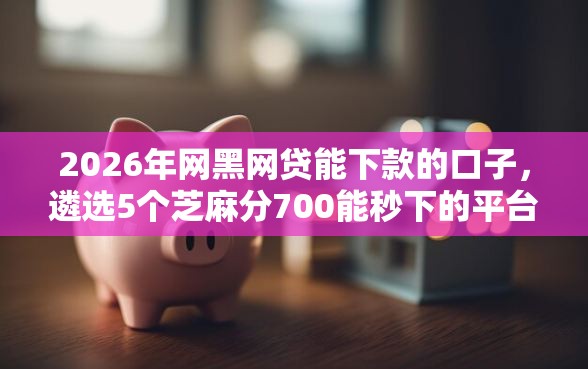 2026年网黑网贷能下款的口子，遴选5个芝麻分700能秒下的平台