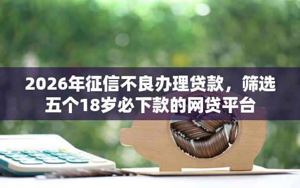 2026年征信不良办理贷款，筛选五个18岁必下款的网贷平台