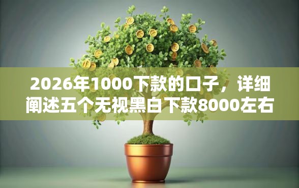 2026年1000下款的口子，详细阐述五个无视黑白下款8000左右的口子