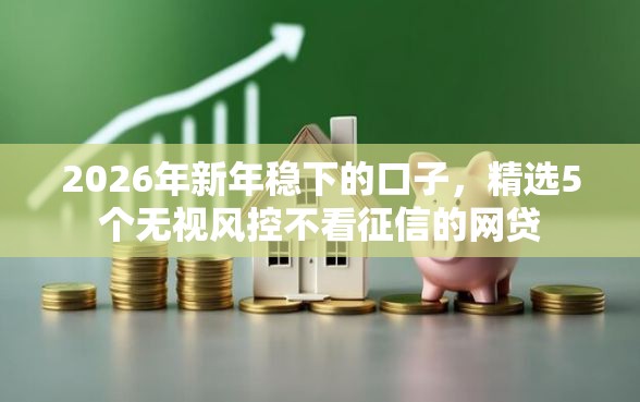 2026年新年稳下的口子，精选5个无视风控不看征信的网贷