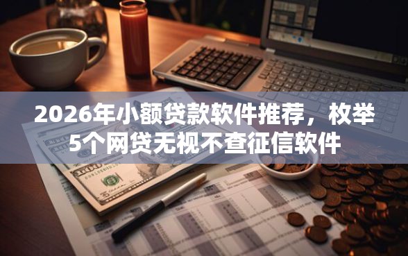 2026年小额贷款软件推荐，枚举5个网贷无视不查征信软件
