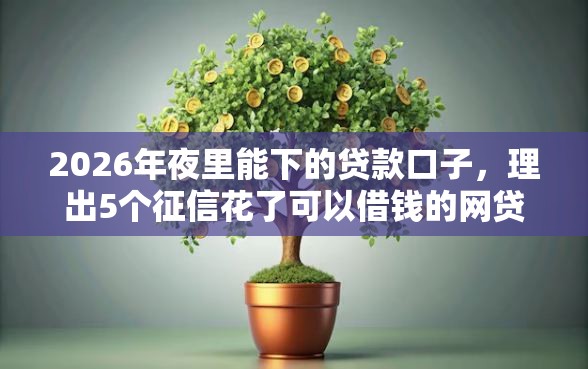 2026年夜里能下的贷款口子，理出5个征信花了可以借钱的网贷平台