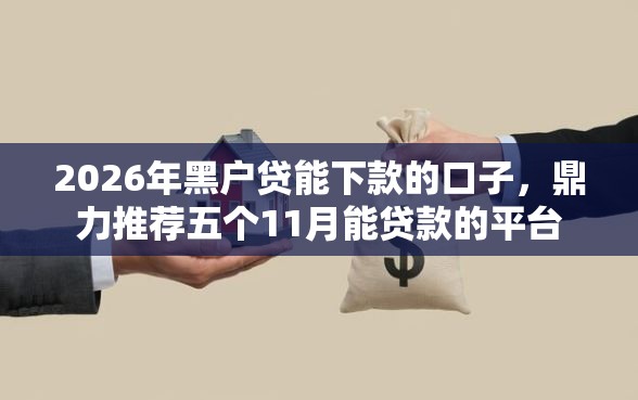 2026年黑户贷能下款的口子，鼎力推荐五个11月能贷款的平台