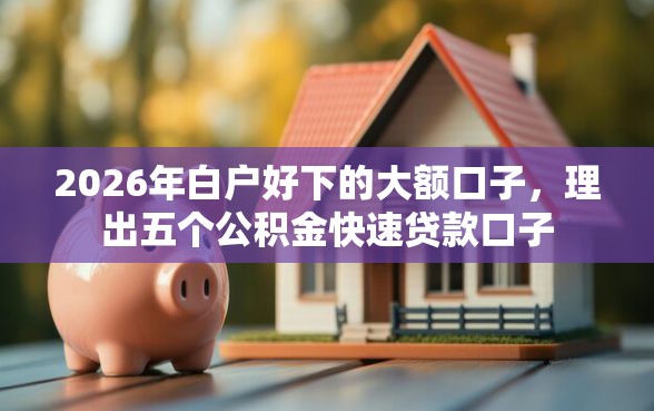 2026年白户好下的大额口子，理出五个公积金快速贷款口子