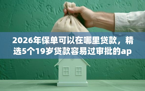 2026年保单可以在哪里贷款，精选5个19岁贷款容易过审批的app