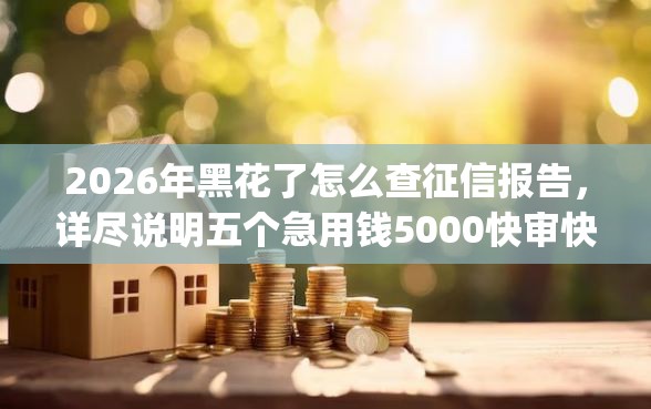 2026年黑花了怎么查征信报告，详尽说明五个急用钱5000快审快贷无需征信app