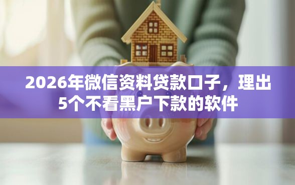 2026年微信资料贷款口子，理出5个不看黑户下款的软件