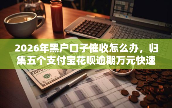 2026年黑户口子催收怎么办，归集五个支付宝花呗逾期万元快速贷款口子