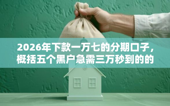 2026年下款一万七的分期口子，概括五个黑户急需三万秒到的的平台