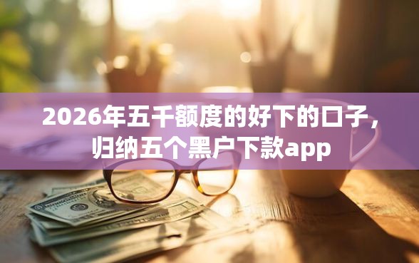 2026年五千额度的好下的口子，归纳五个黑户下款app